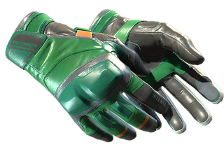 ★ Moto Gloves | Turtle