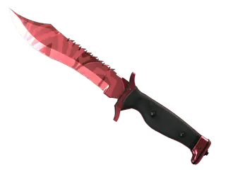 ★ StatTrak™ Bowie Knife | Slaughter