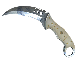 ★ StatTrak™ Talon Knife | Stained