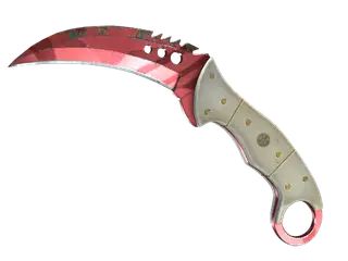 ★ StatTrak™ Talon Knife | Slaughter