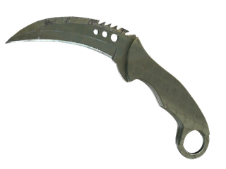 ★ StatTrak™ Talon Knife | Safari Mesh