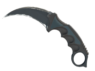 ★ StatTrak™ Karambit | Night