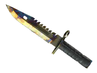 ★ StatTrak™ M9 Bayonet | Case Hardened