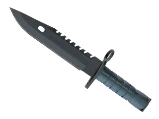 ★ M9 Bayonet | Night