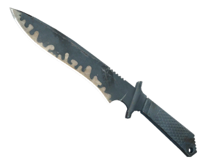 ★ StatTrak™ Classic Knife | Night Stripe