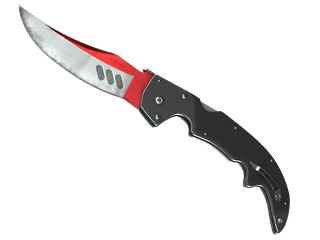 ★ StatTrak™ Falchion Knife | Autotronic