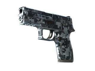 StatTrak™ P250 | Steel Disruption