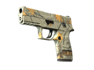 P250 | Modern Hunter