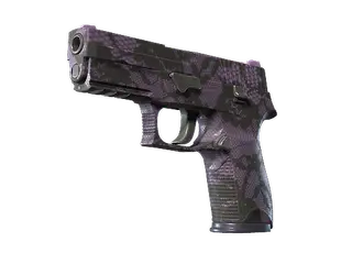 Souvenir P250 | Plum Netting