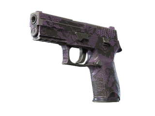 Souvenir P250 | Plum Netting