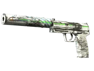Souvenir USP-S | Road Rash