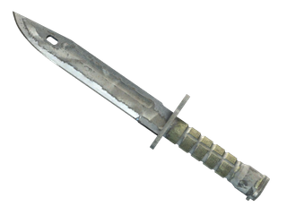 ★ StatTrak™ Bayonet | Urban Masked