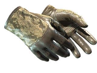 ★ Driver Gloves | Diamondback