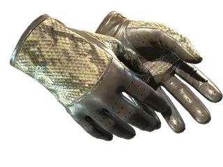 ★ Driver Gloves | Diamondback