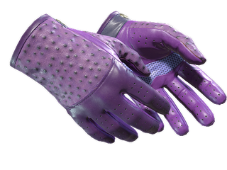 ★ Driver Gloves | Plum Quill