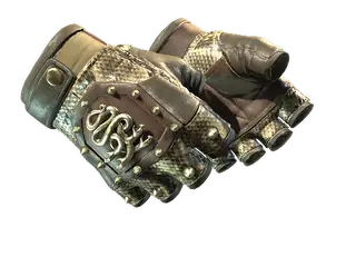 ★ Hydra Gloves | Rattler
