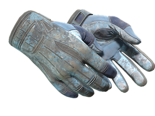 ★ Sport Gloves | Frosty