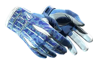 ★ Sport Gloves | Amphibious