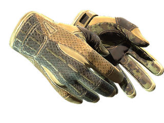 ★ Sport Gloves | Arid