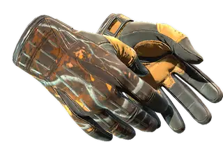★ Sport Gloves | Big Game