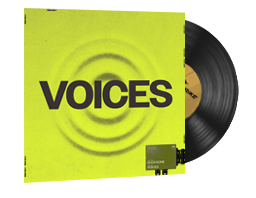 StatTrak™ Music Kit | ShockOne, Voices