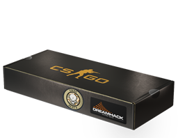 DreamHack 2014 Dust II Souvenir Package