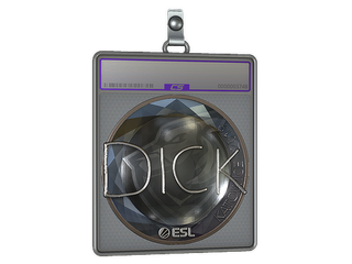 Sticker Slab | DickStacy (Foil) | Katowice 2019