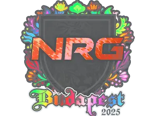 Sticker | NRG (Holo) | Budapest 2025