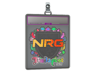 Sticker Slab | NRG (Holo) | Budapest 2025