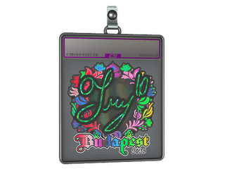 Sticker Slab | TRY (Holo) | Budapest 2025