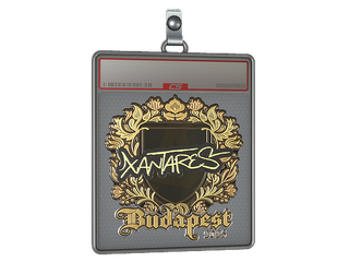 Sticker Slab | XANTARES (Gold) | Budapest 2025