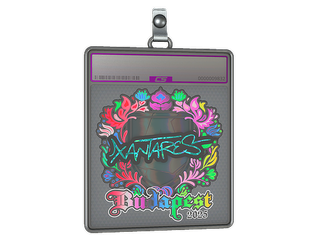 Sticker Slab | XANTARES (Holo) | Budapest 2025