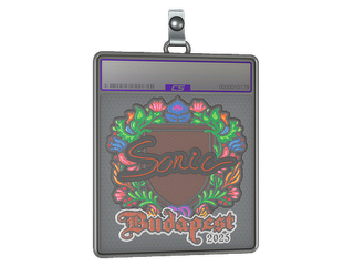 Sticker Slab | Sonic (Embroidered) | Budapest 2025