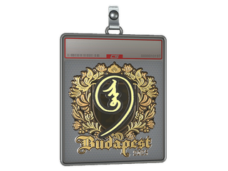 Sticker Slab | nin9 (Gold) | Budapest 2025