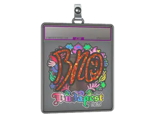 Sticker Slab | br0 (Holo) | Budapest 2025