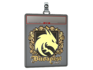 Sticker Slab | Team Spirit (Gold) | Budapest 2025