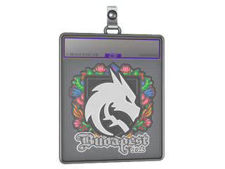 Sticker Slab | Team Spirit (Embroidered) | Budapest 2025