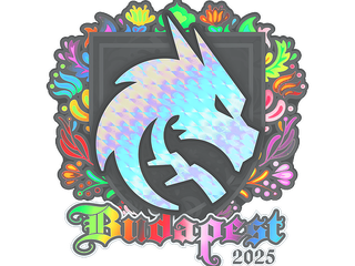 Sticker | Team Spirit (Holo) | Budapest 2025