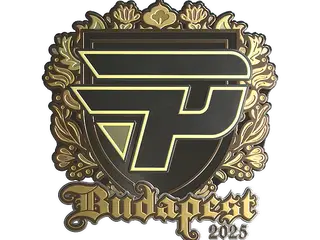 Sticker | paiN Gaming (Gold) | Budapest 2025