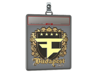 Sticker Slab | FaZe Clan (Gold) | Budapest 2025
