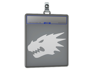 Sticker Slab | Salamanders
