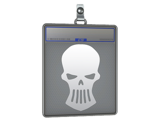 Sticker Slab | Silver Skulls