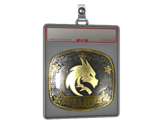 Sticker Slab | Team Spirit (Gold) | Austin 2025