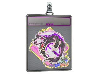 Sticker Slab | Outsiders (Holo) | Rio 2022