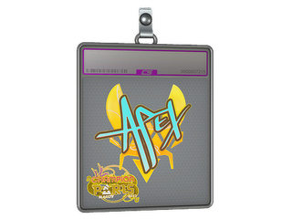 Sticker Slab | apEX (Holo, Champion) | Paris 2023