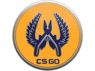 Guardian 2 Pin