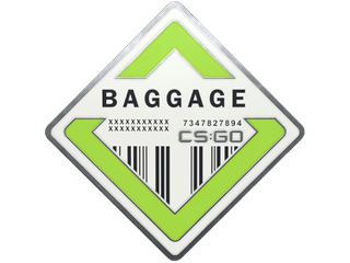Baggage Pin