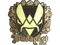 Sticker | Vitality (Gold) | Budapest 2025