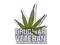 Sticker | Drug War Veteran