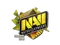 Sticker | Natus Vincere (Holo) | Cologne 2016